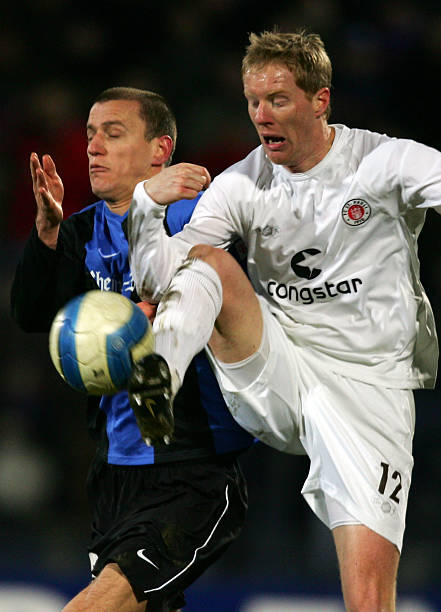 引了大量新 引了大量新